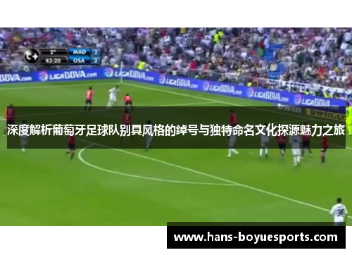 深度解析葡萄牙足球队别具风格的绰号与独特命名文化探源魅力之旅