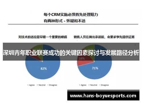 深圳青年职业联赛成功的关键因素探讨与发展路径分析 深圳青年职业联赛成功的关键因素探讨与发展路径分析